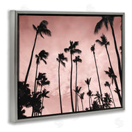 Natalie Carpentieri | Evenings Edge Pink Palms