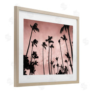 Natalie Carpentieri | Evenings Edge Pink Palms