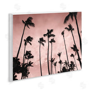 Natalie Carpentieri | Evenings Edge Pink Palms