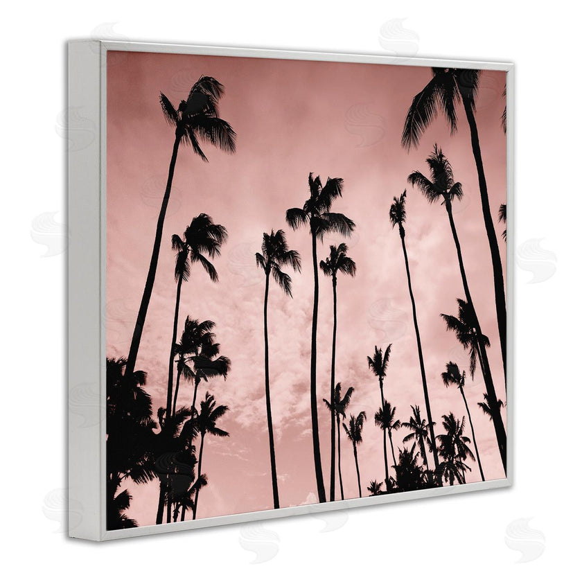 Natalie Carpentieri | Evenings Edge Pink Palms