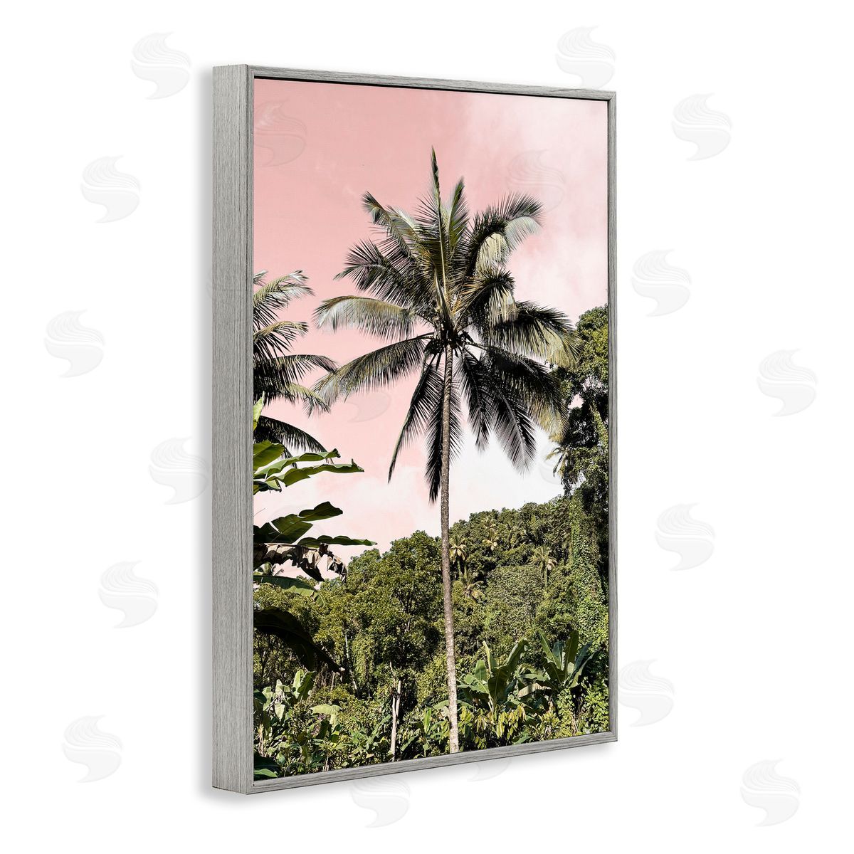 Natalie Carpentieri Rainforest Palm on Pink Canvas Wall Art Print