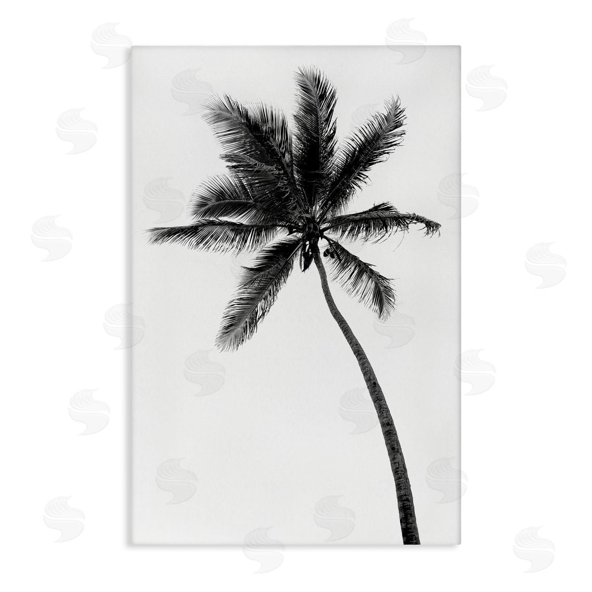 Natalie Carpentieri Minimal Island Palm Canvas Wall Art Print