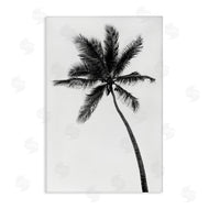 Natalie Carpentieri | Minimal Island Palm
