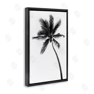Natalie Carpentieri | Minimal Island Palm