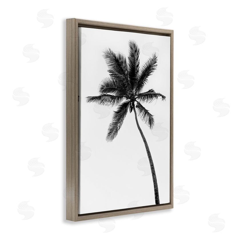 Natalie Carpentieri | Minimal Island Palm