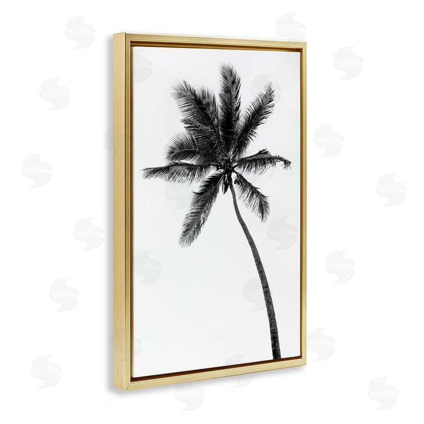 Natalie Carpentieri | Minimal Island Palm