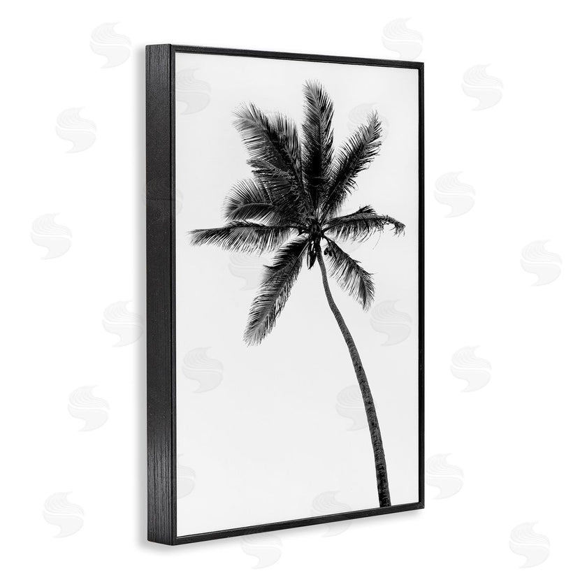 Natalie Carpentieri | Minimal Island Palm