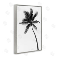 Natalie Carpentieri | Minimal Island Palm