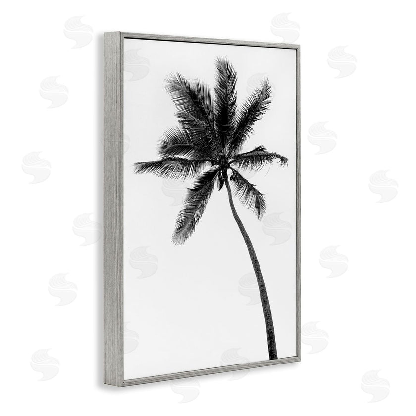 Natalie Carpentieri | Minimal Island Palm