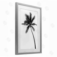 Natalie Carpentieri | Minimal Island Palm