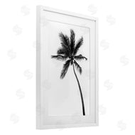 Natalie Carpentieri | Minimal Island Palm