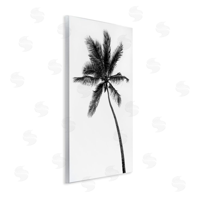 Natalie Carpentieri | Minimal Island Palm