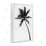 Natalie Carpentieri | Minimal Island Palm
