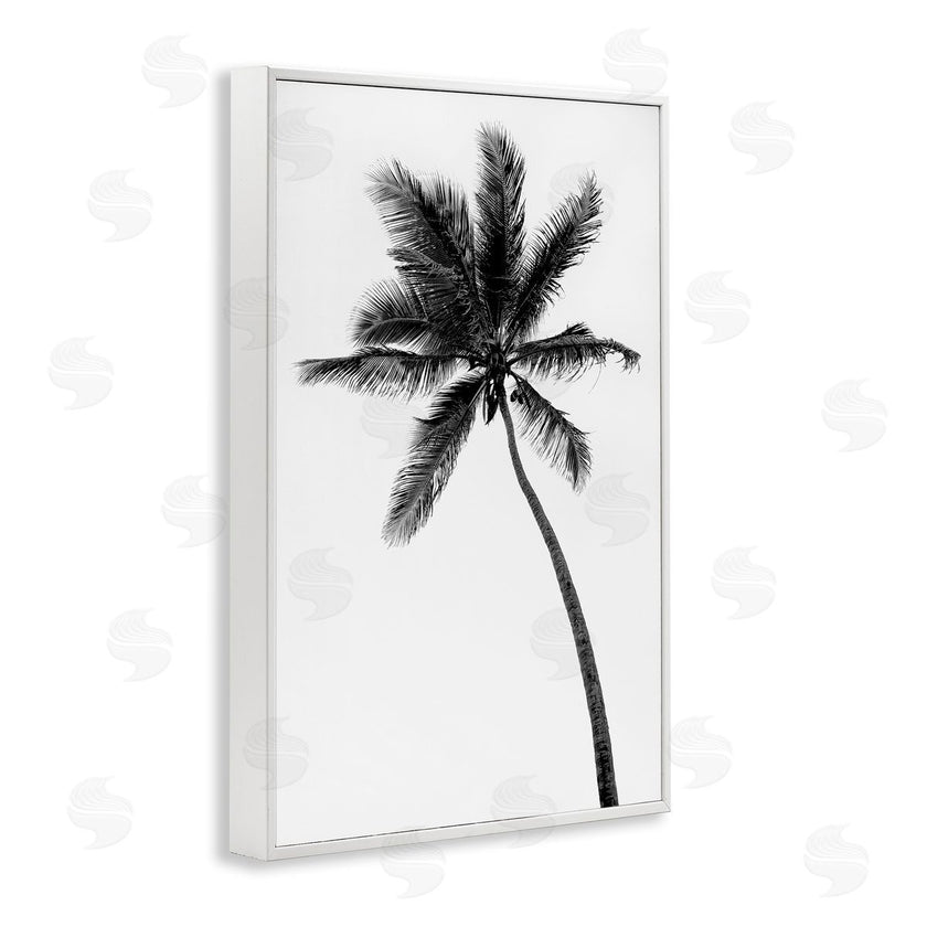 Natalie Carpentieri | Minimal Island Palm