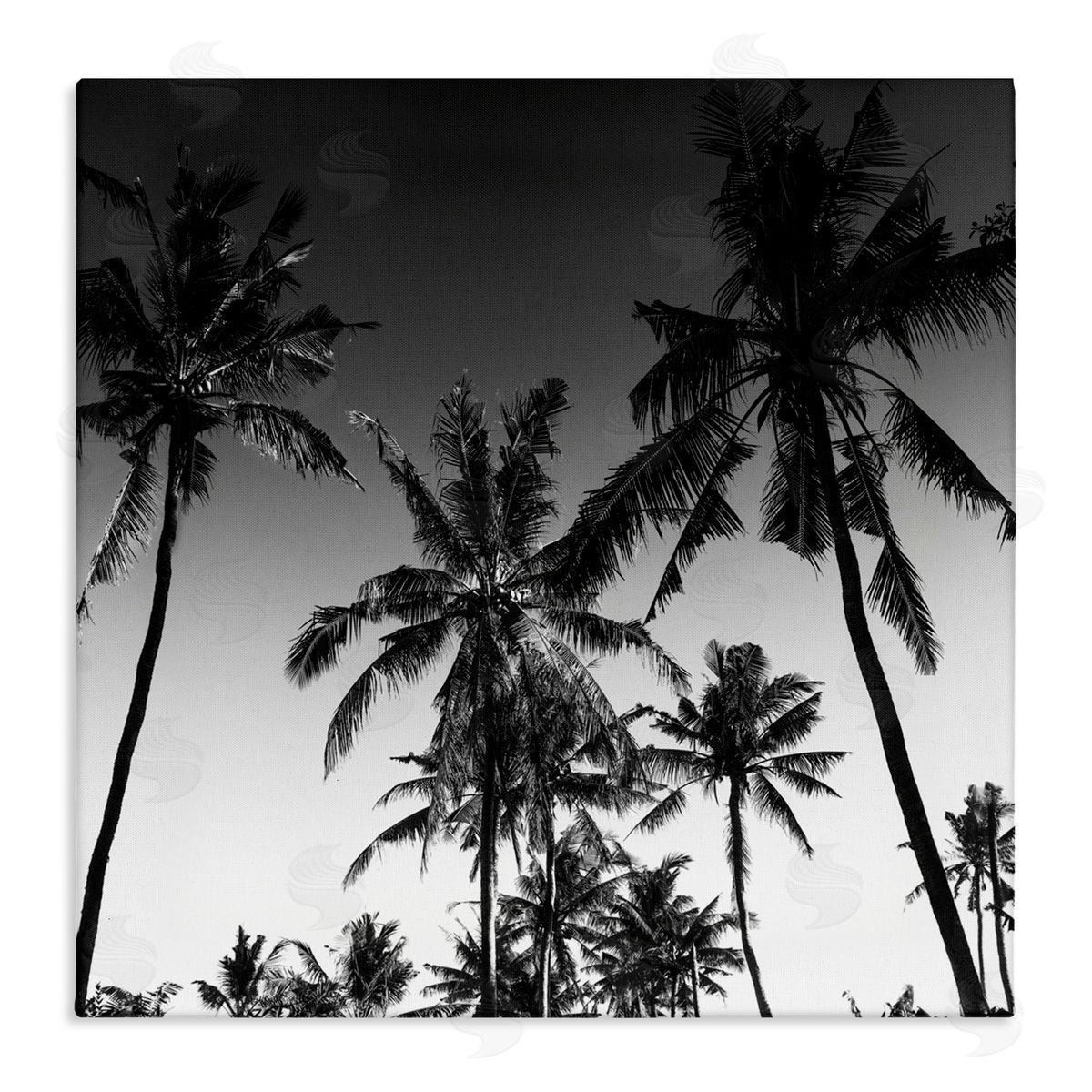 Danita Delimont Palm Sunset Stark Contrast Canvas Wall Art Print