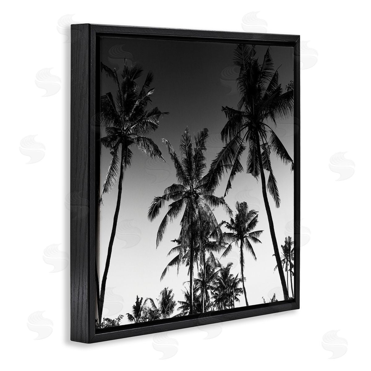 Danita Delimont Palm Sunset Stark Contrast Canvas Wall Art Print