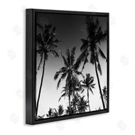 Danita Delimont | Palm Sunset Stark Contrast