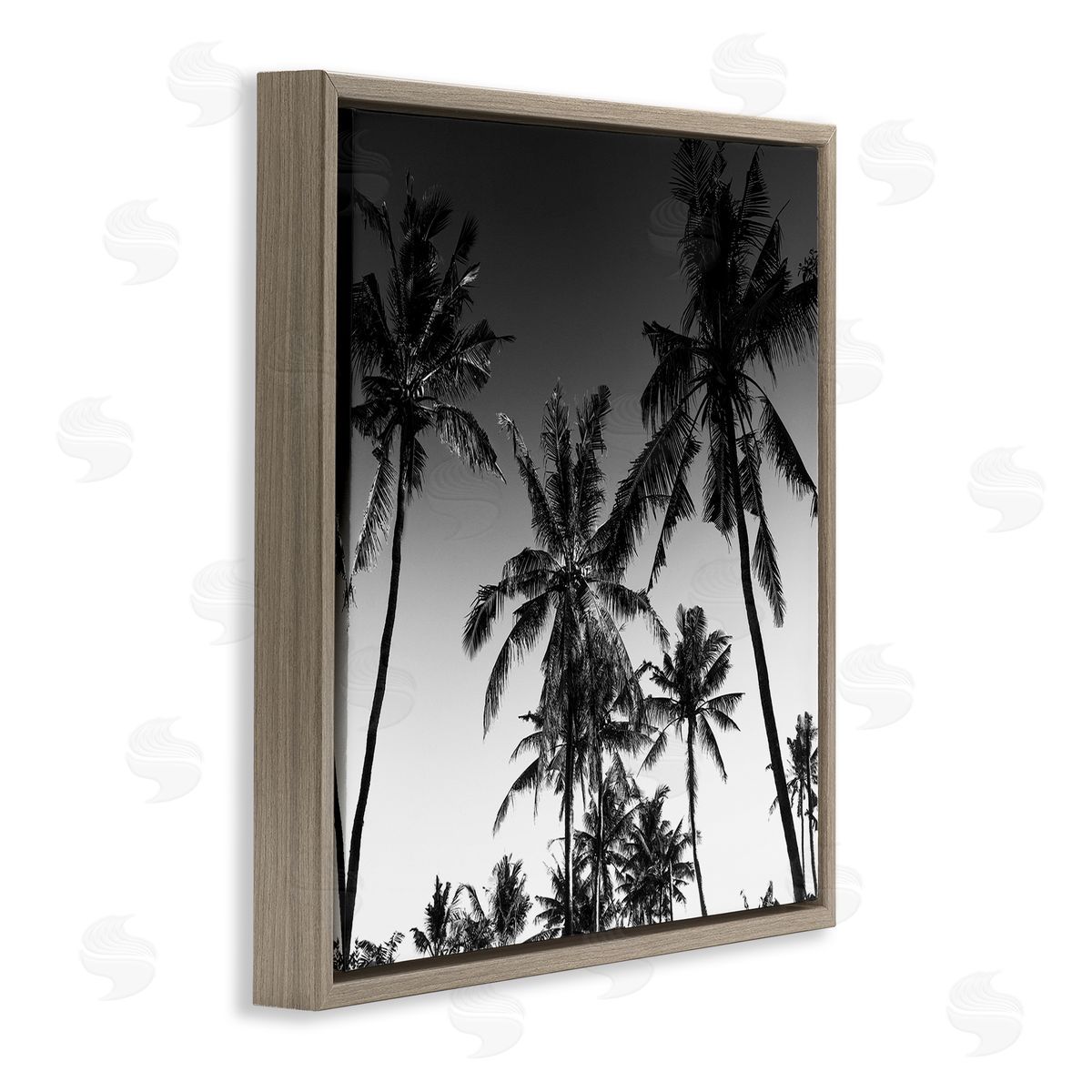 Danita Delimont Palm Sunset Stark Contrast Canvas Wall Art Print