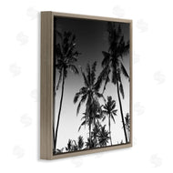Danita Delimont | Palm Sunset Stark Contrast