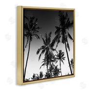 Danita Delimont | Palm Sunset Stark Contrast