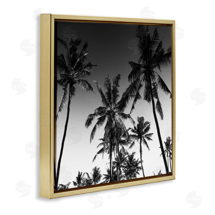 Danita Delimont | Palm Sunset Stark Contrast