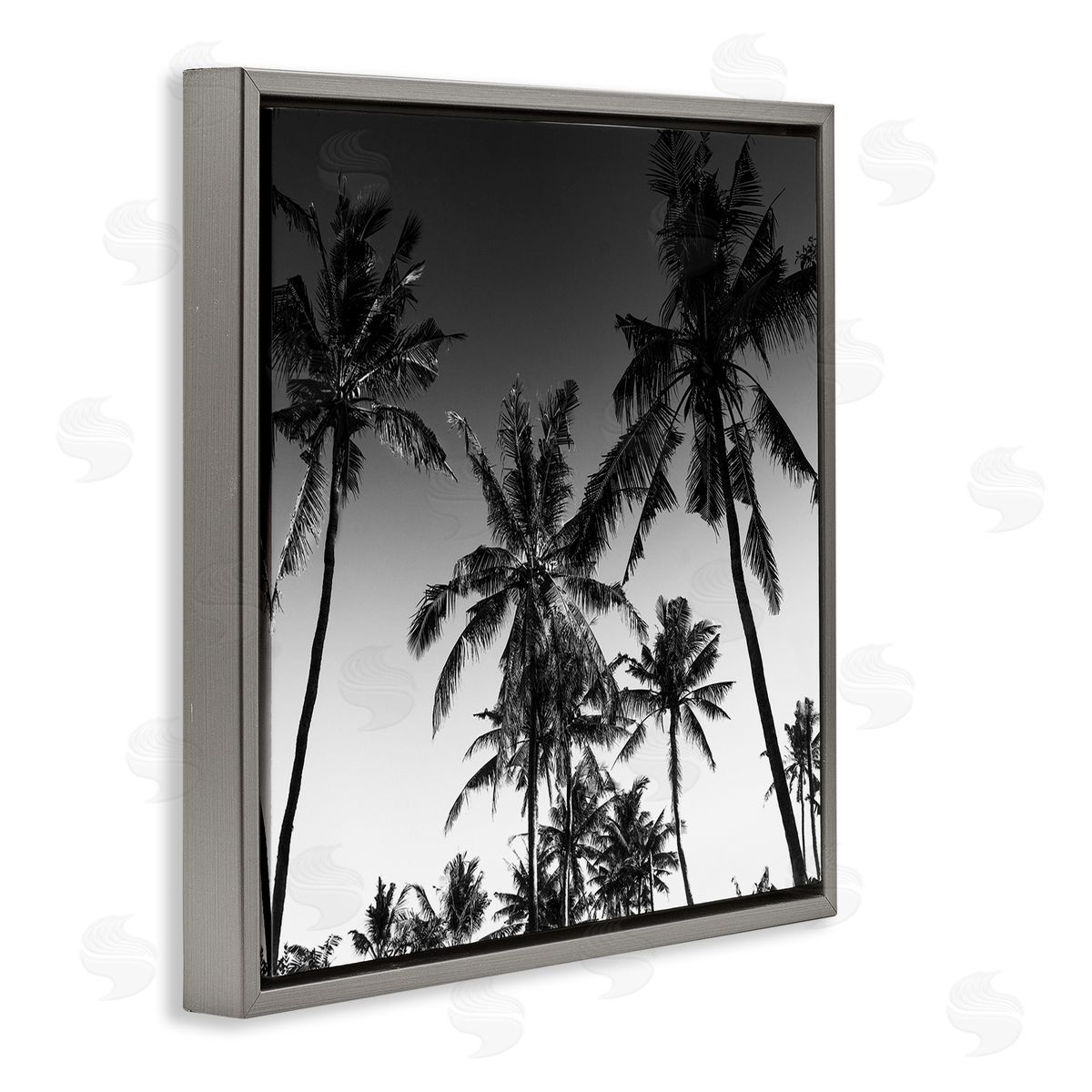 Danita Delimont Palm Sunset Stark Contrast Canvas Wall Art Print