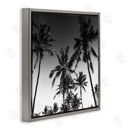 Danita Delimont | Palm Sunset Stark Contrast