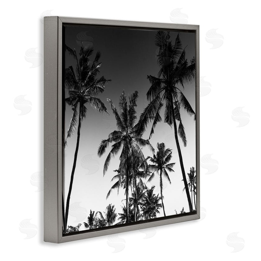 Danita Delimont | Palm Sunset Stark Contrast