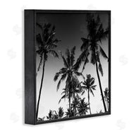 Danita Delimont | Palm Sunset Stark Contrast