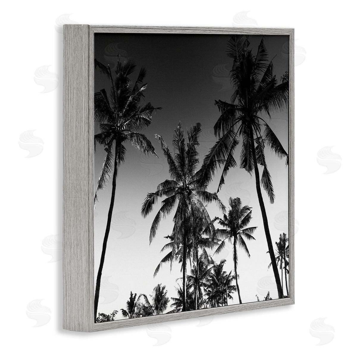 Danita Delimont Palm Sunset Stark Contrast Canvas Wall Art Print