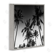 Danita Delimont | Palm Sunset Stark Contrast