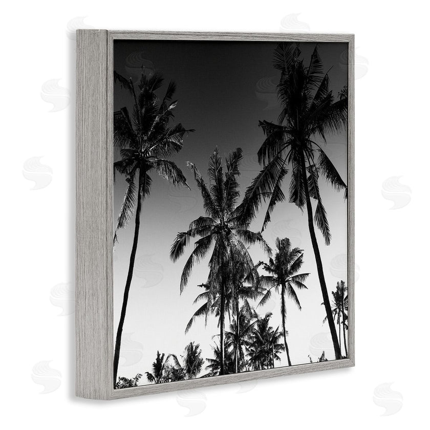 Danita Delimont | Palm Sunset Stark Contrast