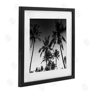 Danita Delimont | Palm Sunset Stark Contrast