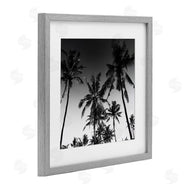 Danita Delimont | Palm Sunset Stark Contrast