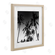 Danita Delimont | Palm Sunset Stark Contrast