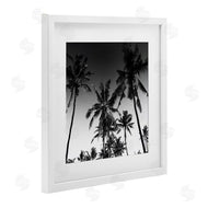 Danita Delimont | Palm Sunset Stark Contrast