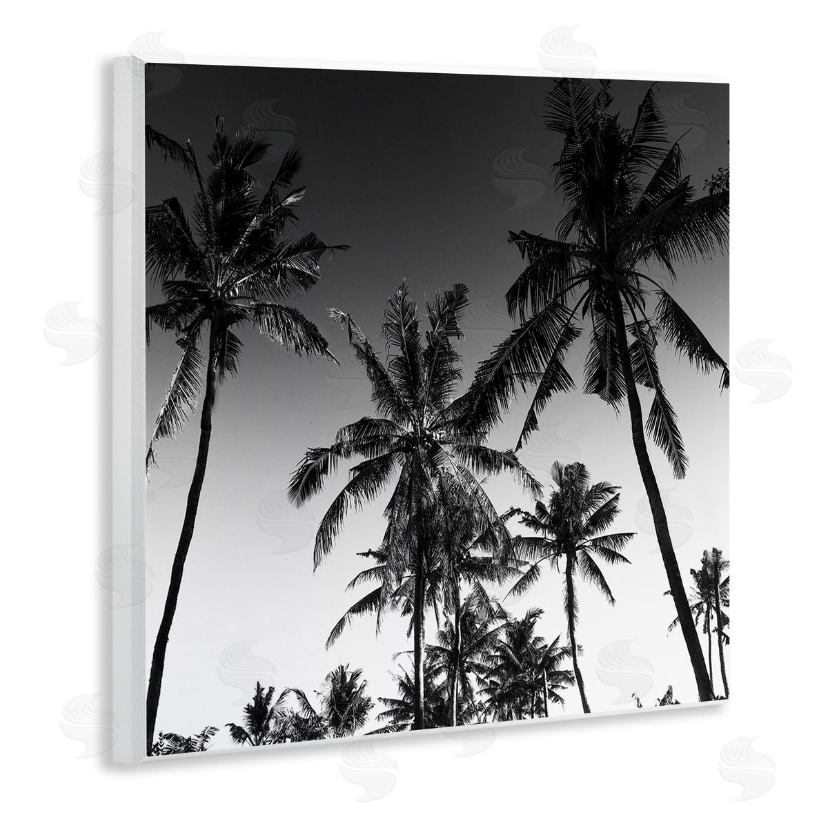 Danita Delimont Palm Sunset Stark Contrast Canvas Wall Art Print