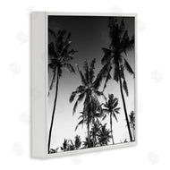 Danita Delimont | Palm Sunset Stark Contrast