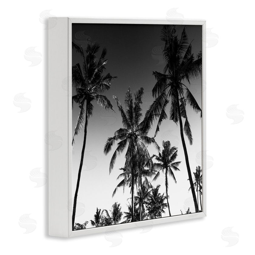 Danita Delimont | Palm Sunset Stark Contrast