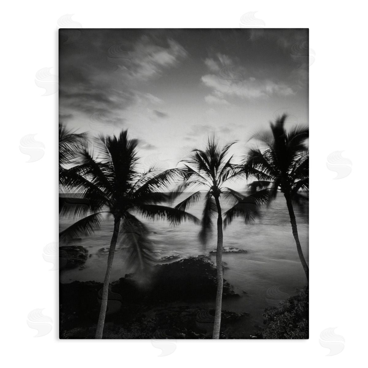 Carol Robinson Palm Tree Coast Photograph Canvas Wall Art Print