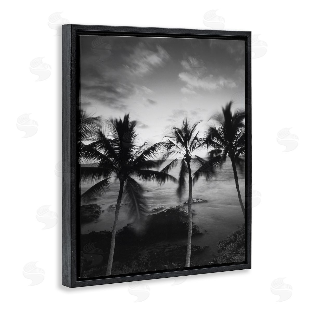 Carol Robinson Palm Tree Coast Photograph Canvas Wall Art Print
