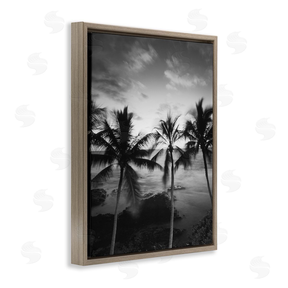 Carol Robinson Palm Tree Coast Photograph Canvas Wall Art Print