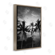 Carol Robinson | Palm Tree Coast Photograph