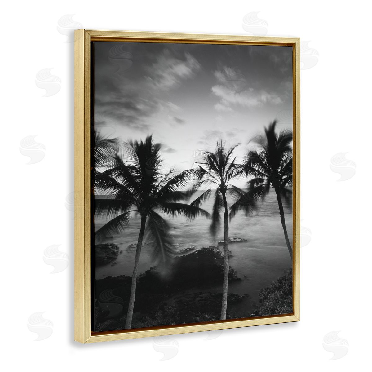 Carol Robinson Palm Tree Coast Photograph Canvas Wall Art Print