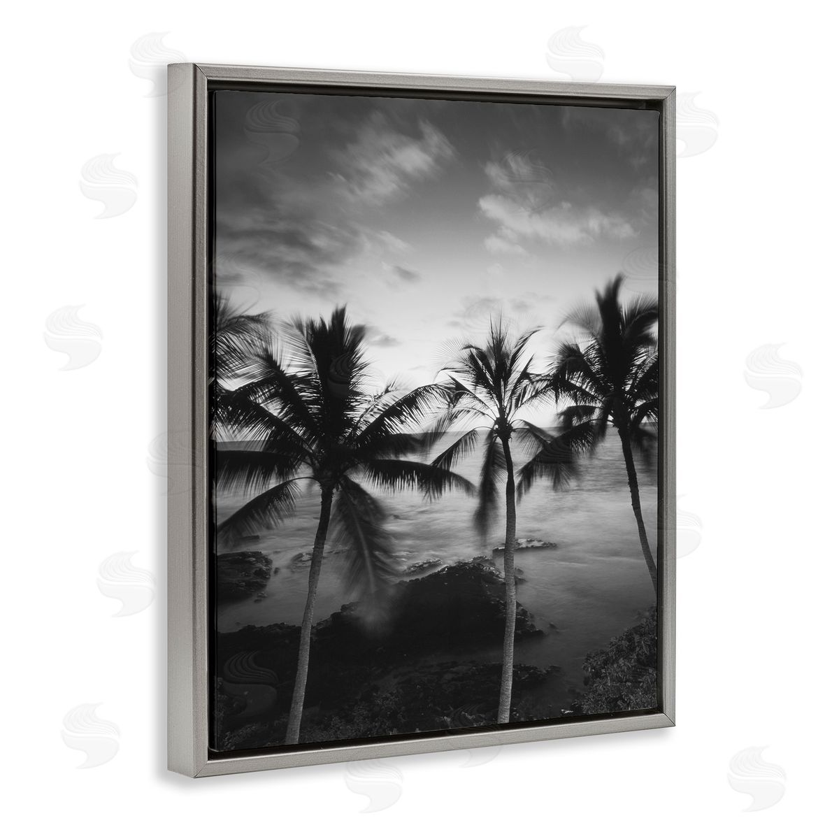 Carol Robinson Palm Tree Coast Photograph Canvas Wall Art Print