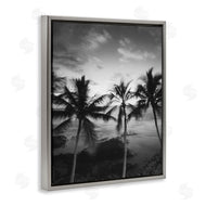 Carol Robinson | Palm Tree Coast Photograph