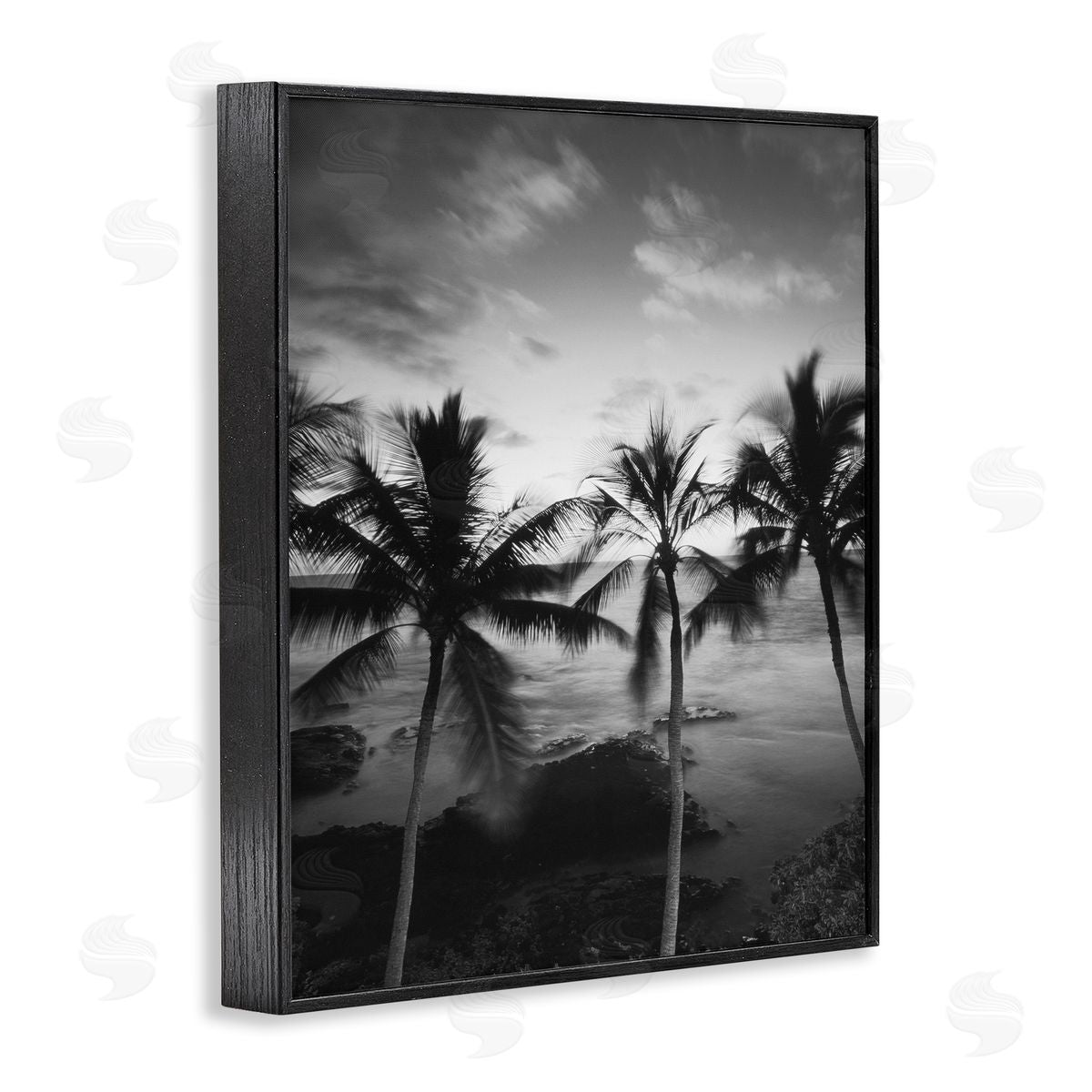 Carol Robinson Palm Tree Coast Photograph Canvas Wall Art Print