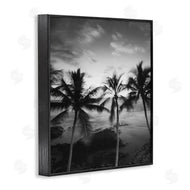 Carol Robinson | Palm Tree Coast Photograph