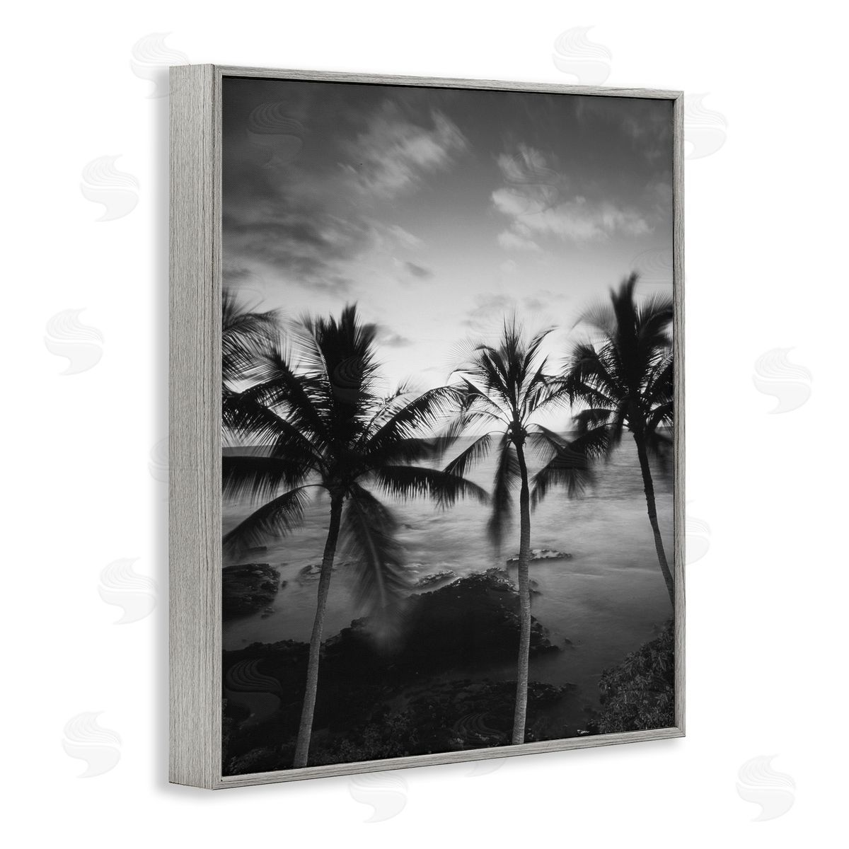Carol Robinson Palm Tree Coast Photograph Canvas Wall Art Print