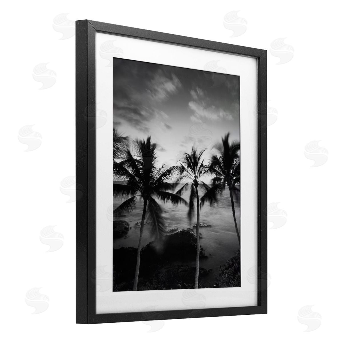 Carol Robinson Palm Tree Coast Photograph Canvas Wall Art Print